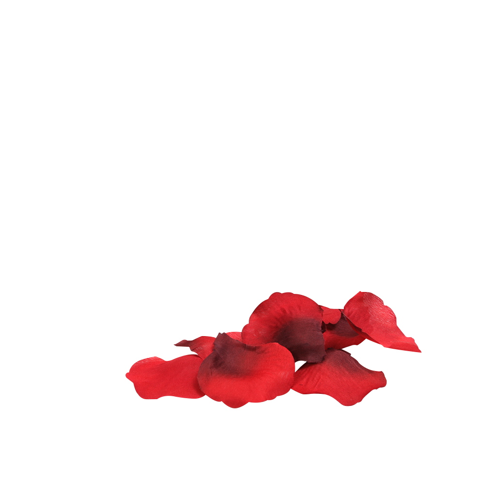 You & Me On A Bed Of Roses!